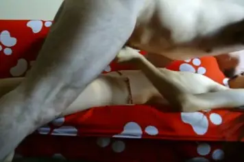 Zara Bugil Toket Montok Sange Brutal Lumer